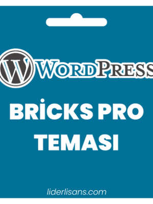Bricks Pro WordPress Teması