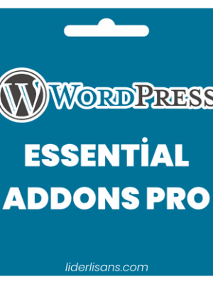 Essential Addons for Elementor Pro Eklentisi