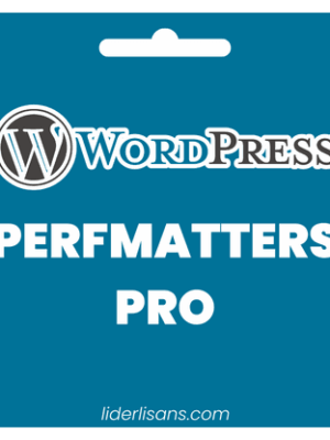 PerfMatters Pro Eklentisi