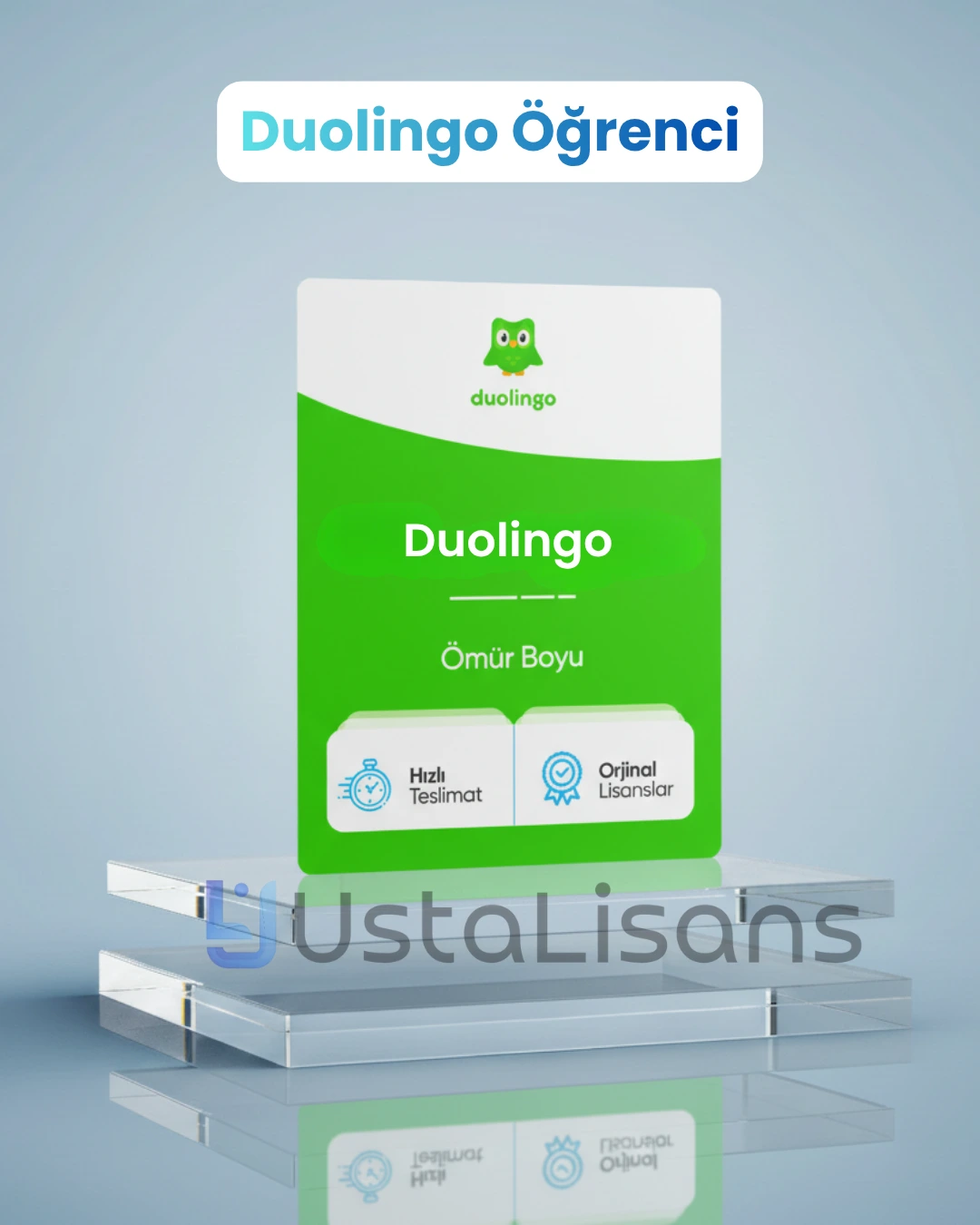 Duolingo Plus Öğrenci
