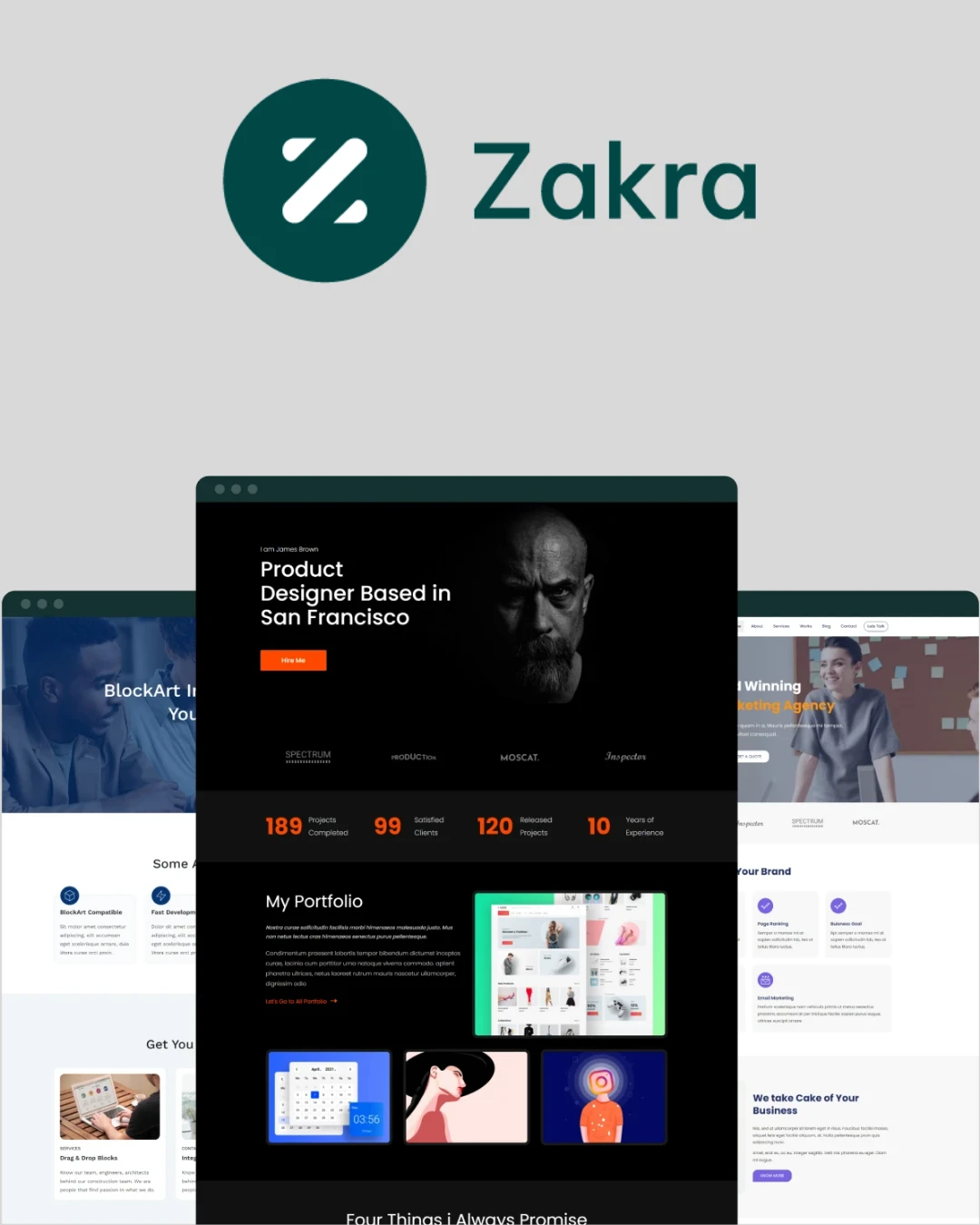 Zakra Pro Wp Teması
